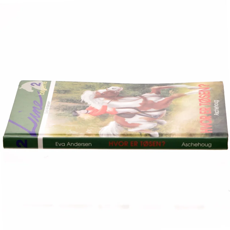 Hvor er Tøsen? af Eva Andersen (f. 1937) (Bog)