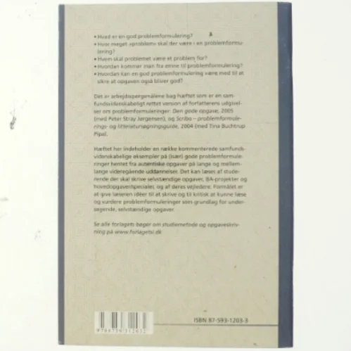 Problemformulering på de samfundsvidenskabelige uddannelser af Lotte Rienecker (Bog)