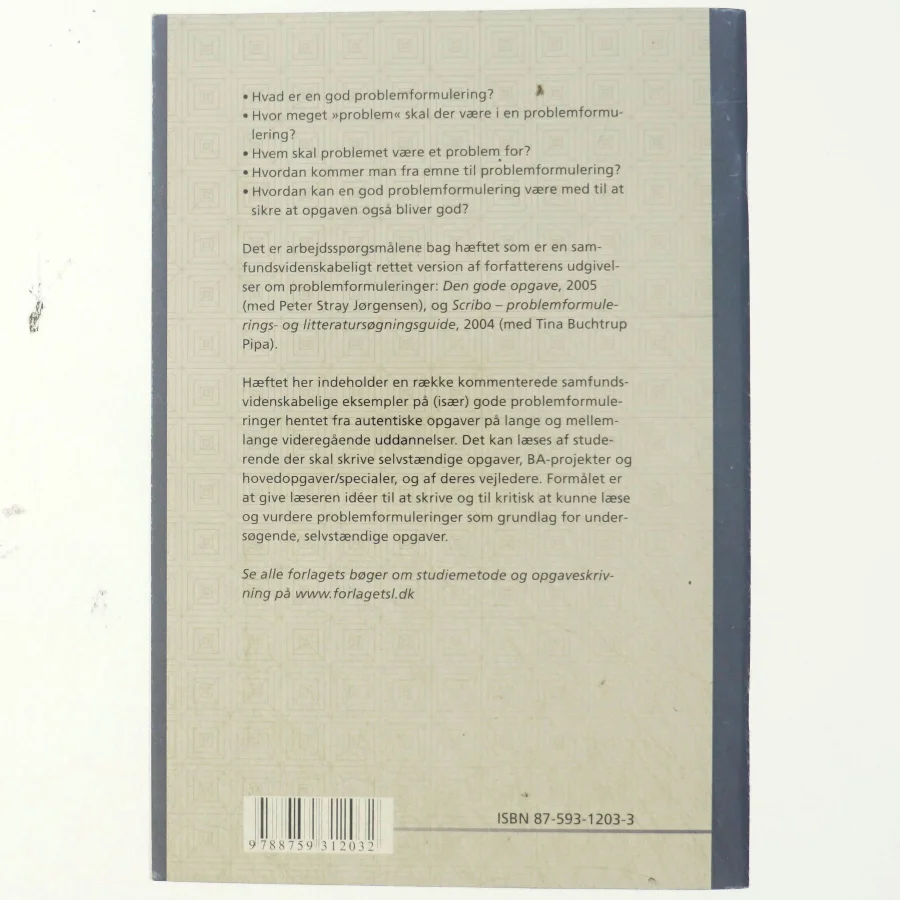 Problemformulering på de samfundsvidenskabelige uddannelser af Lotte Rienecker (Bog)