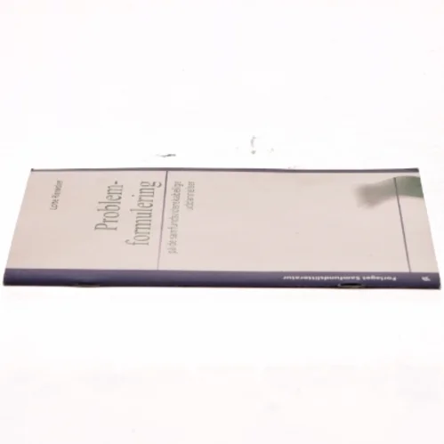 Problemformulering på de samfundsvidenskabelige uddannelser af Lotte Rienecker (Bog)