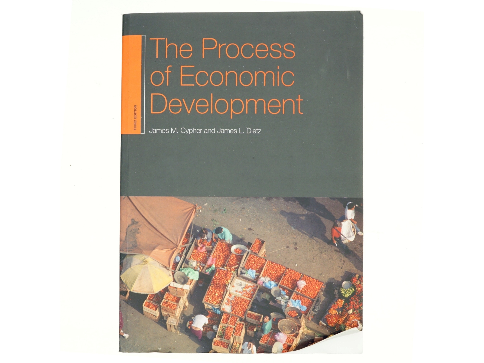 The process of economic development (Bog)