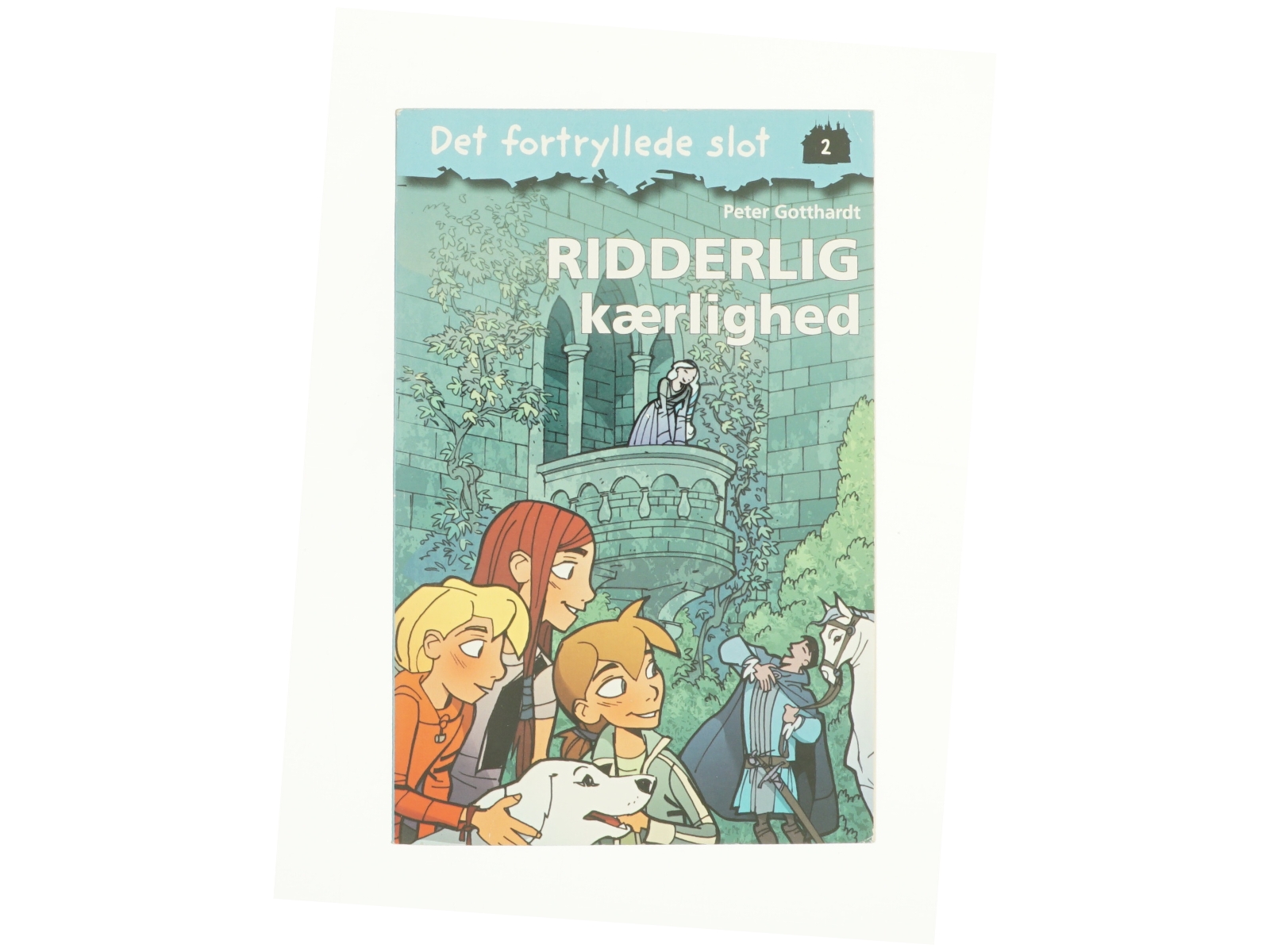 Ridderlig kærlighed af Peter Gotthardt (Bog)