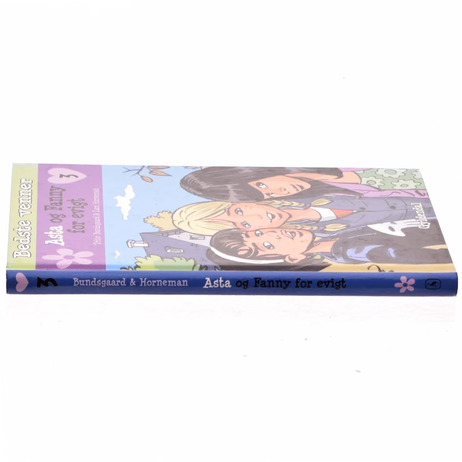 Asta og Fanny for evigt af Trine Bundsgaard (Bog)