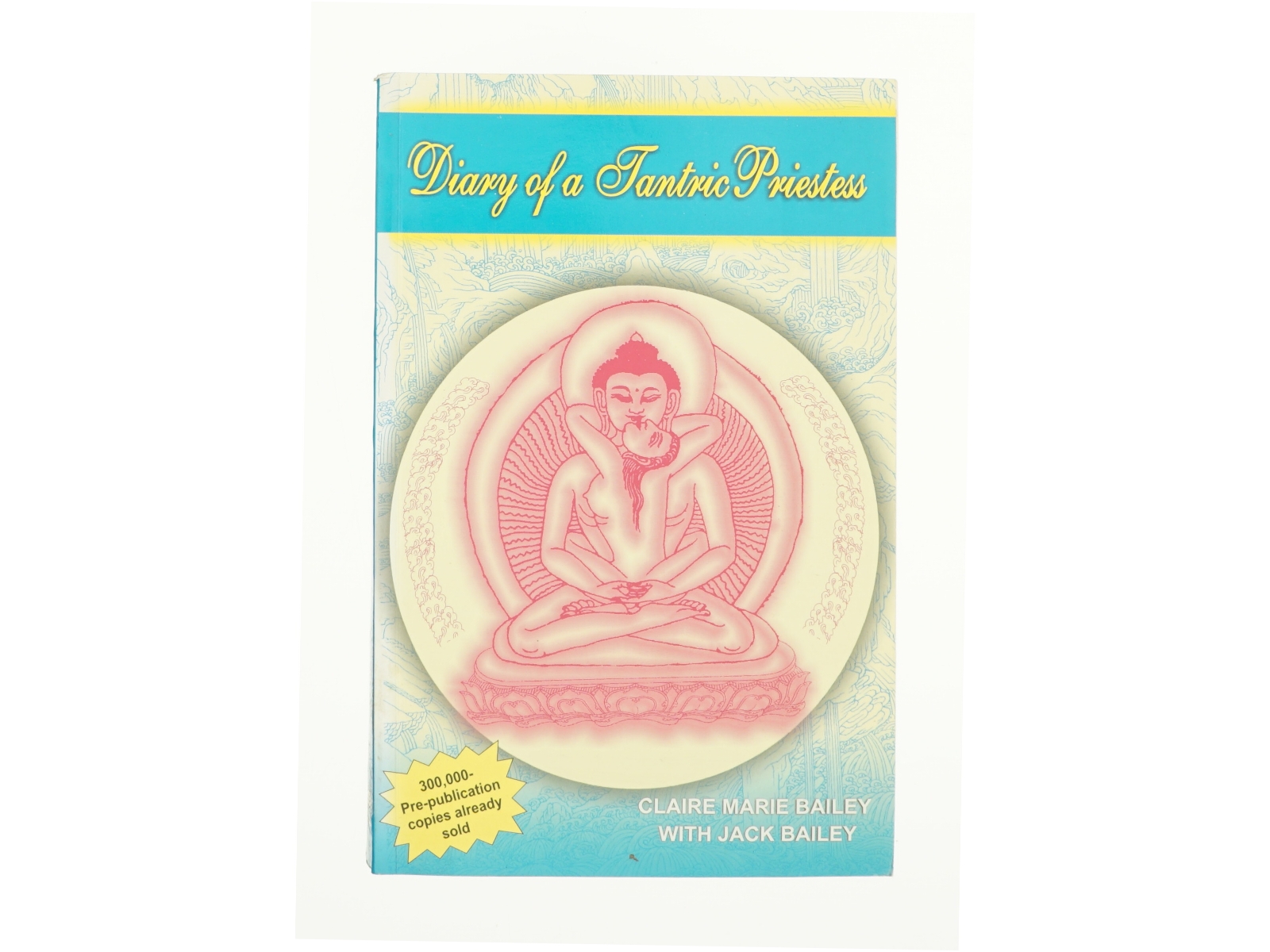 Diary of a Tantric Priestess af Claire Marie Bailey; Jack Bailey (Bog)