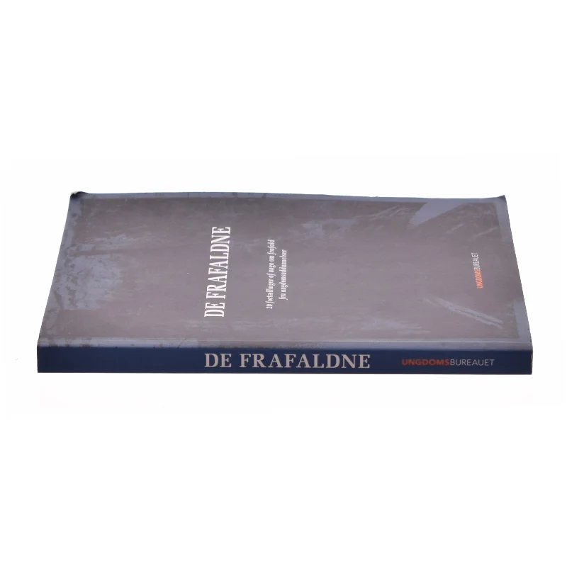 De frafaldne : 20 fortællinger af unge om frafald fra ungdomsuddannelser (Bog)