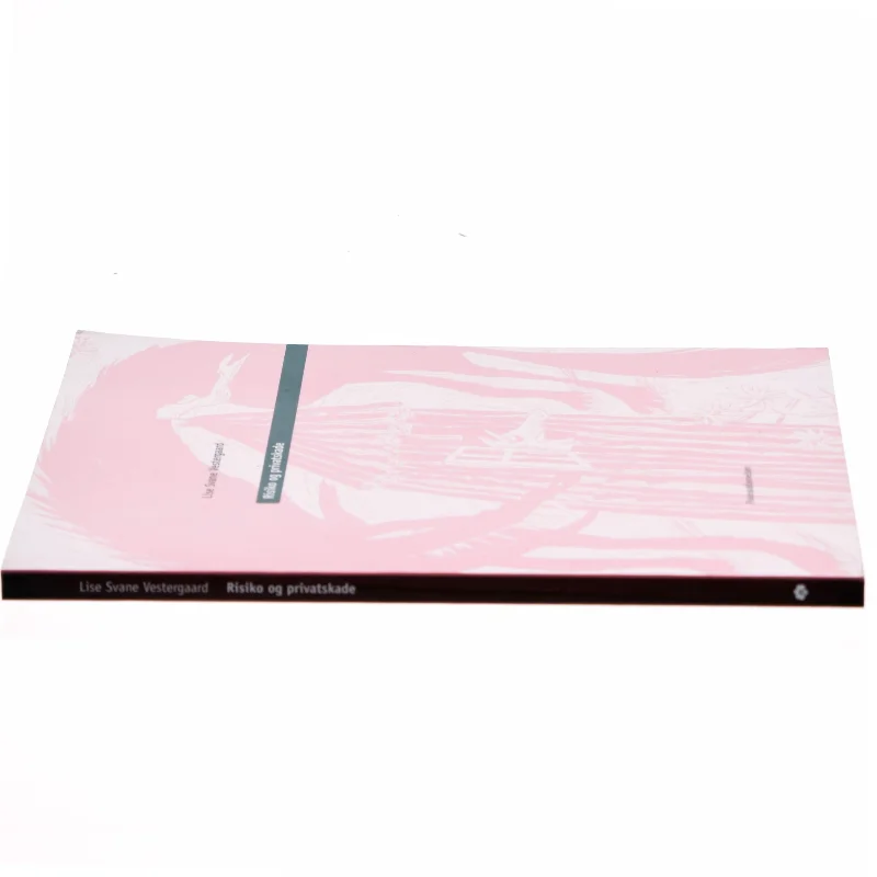 Risiko og privatskade af Lise Svane Vestergaard (Bog)