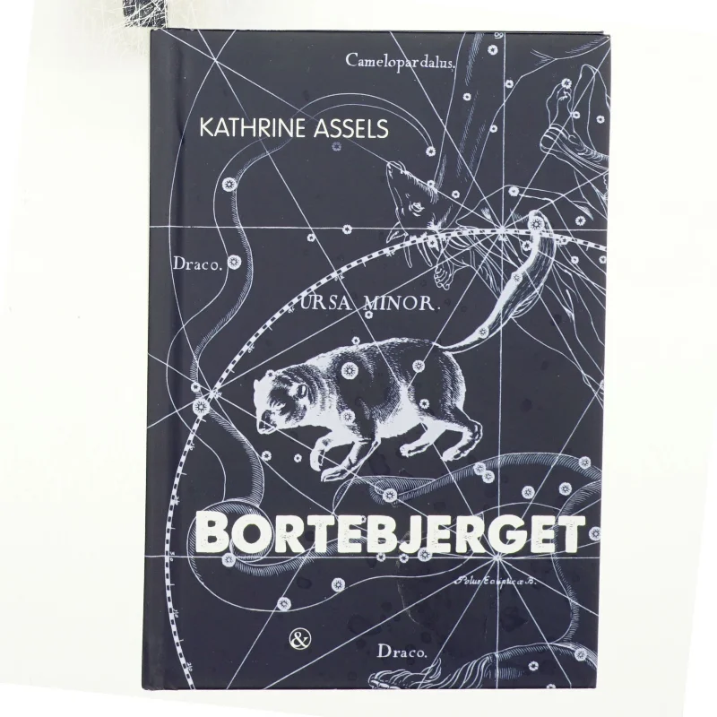 Bortebjerget af Kathrine Assels (Bog)