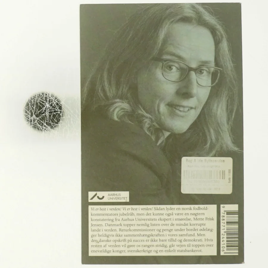 Korruption af Mette Frisk Jensen (Bog)