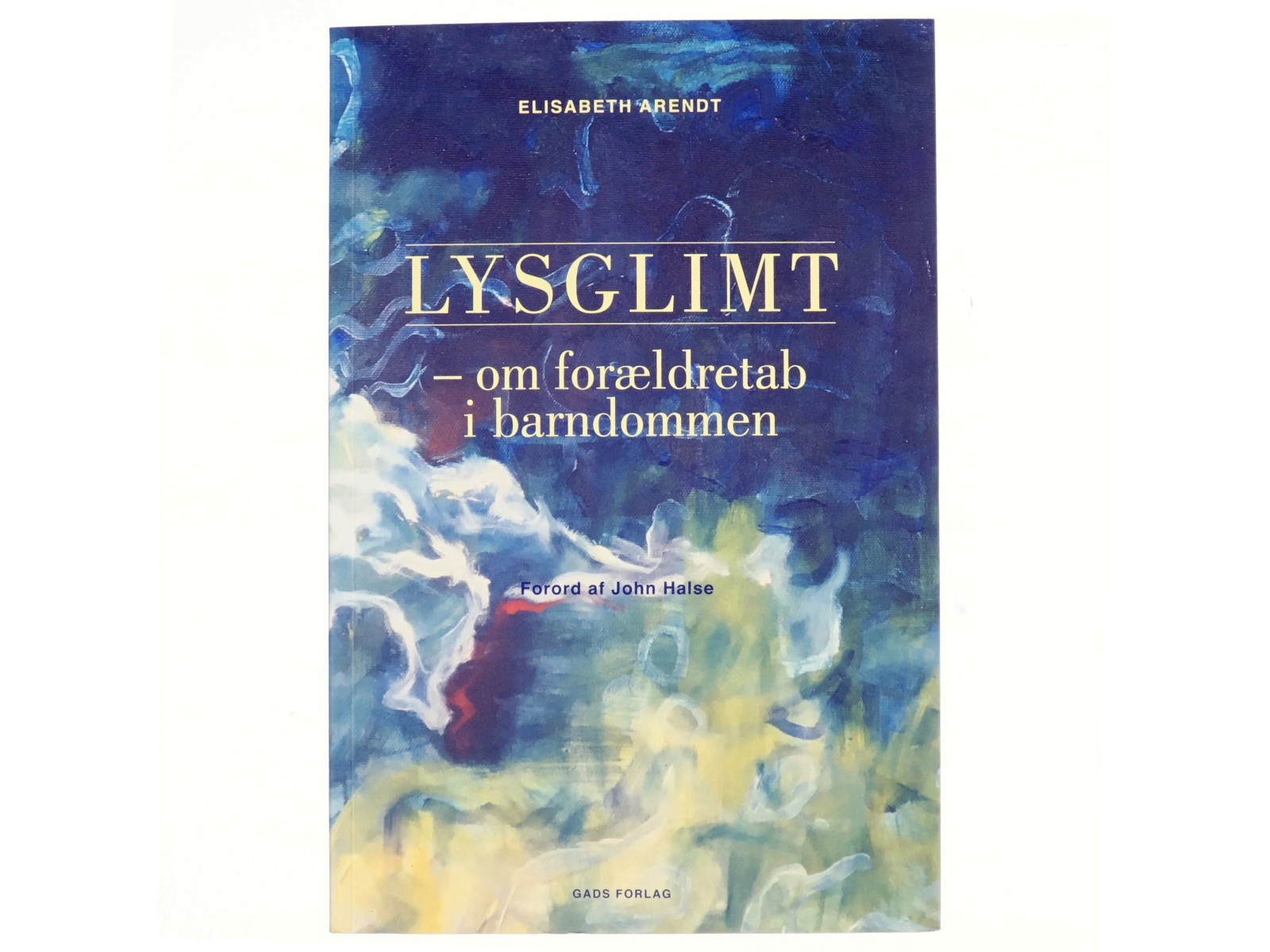 Lysglimt : om forældretab i barndommen af Elisabeth Arendt (f. 1975) (Bog)