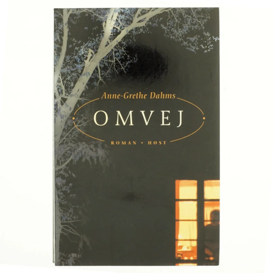 Omvej af Anne-Grethe Dahms (Bog)