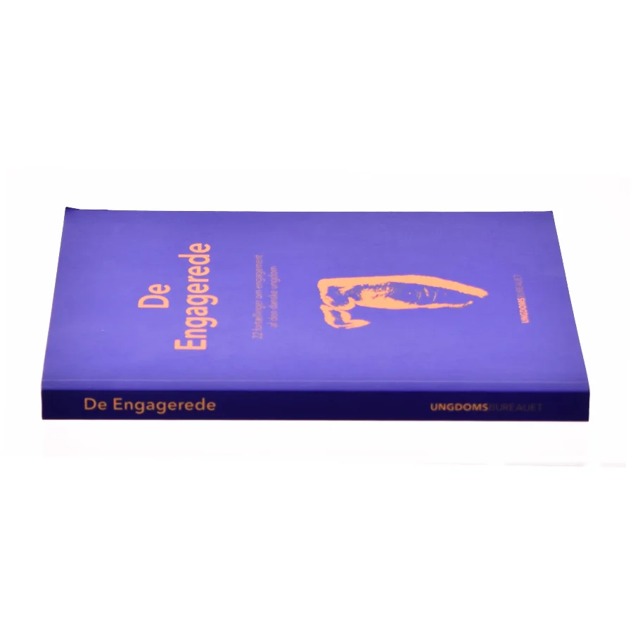 De engagerede - 22 fortællinger om engagement af den danske ungdom (Bog)