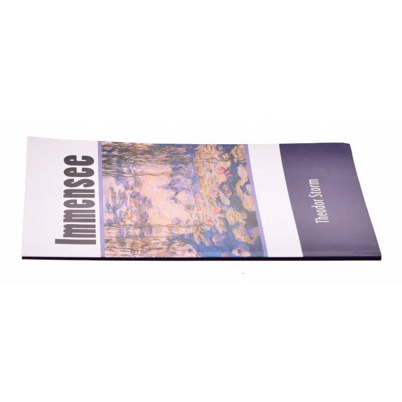 Immensee af Theodor Storm (Bog)