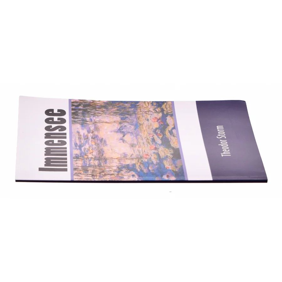 Immensee af Theodor Storm (Bog)