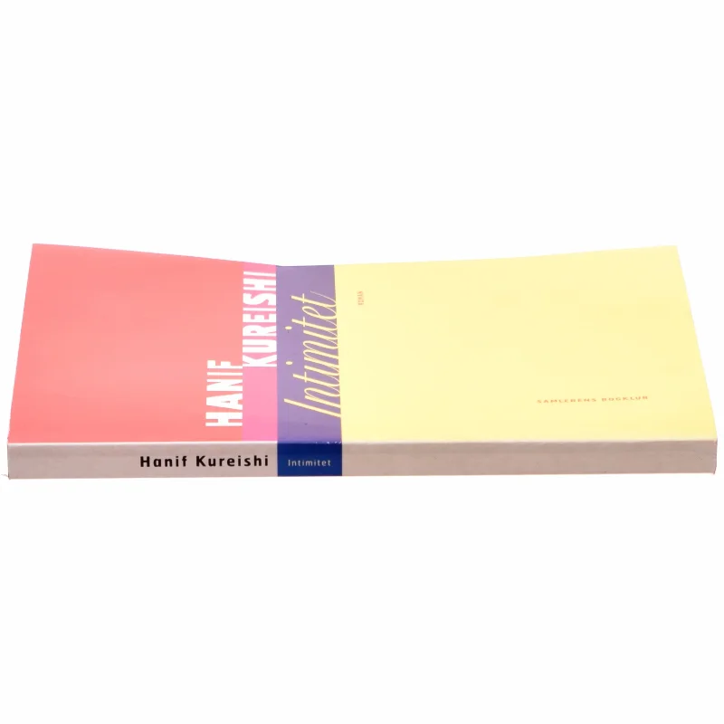 Intimitet af Hanif Kureishi (Bog)