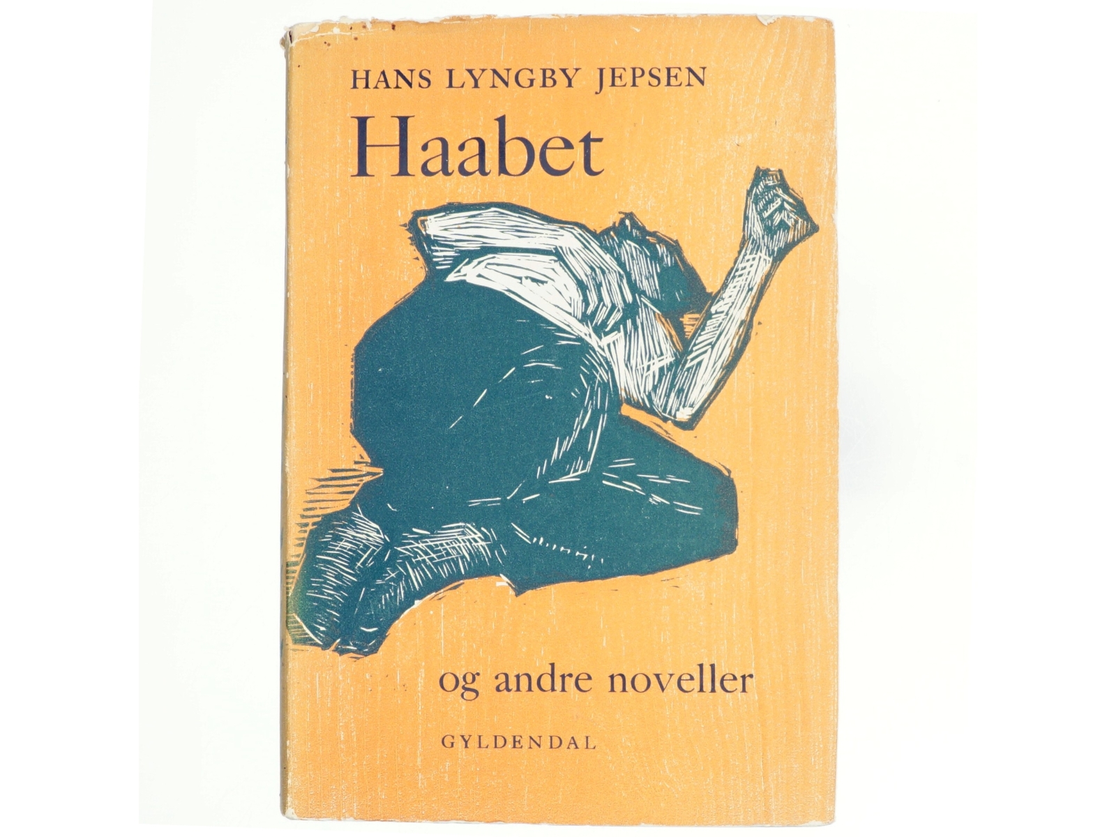 Haabet af Hans Lyngby Jepsen