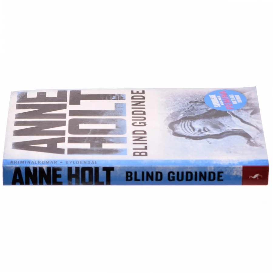 Blind gudinde af Anne Holt (f. 1958-11-16) (Bog)