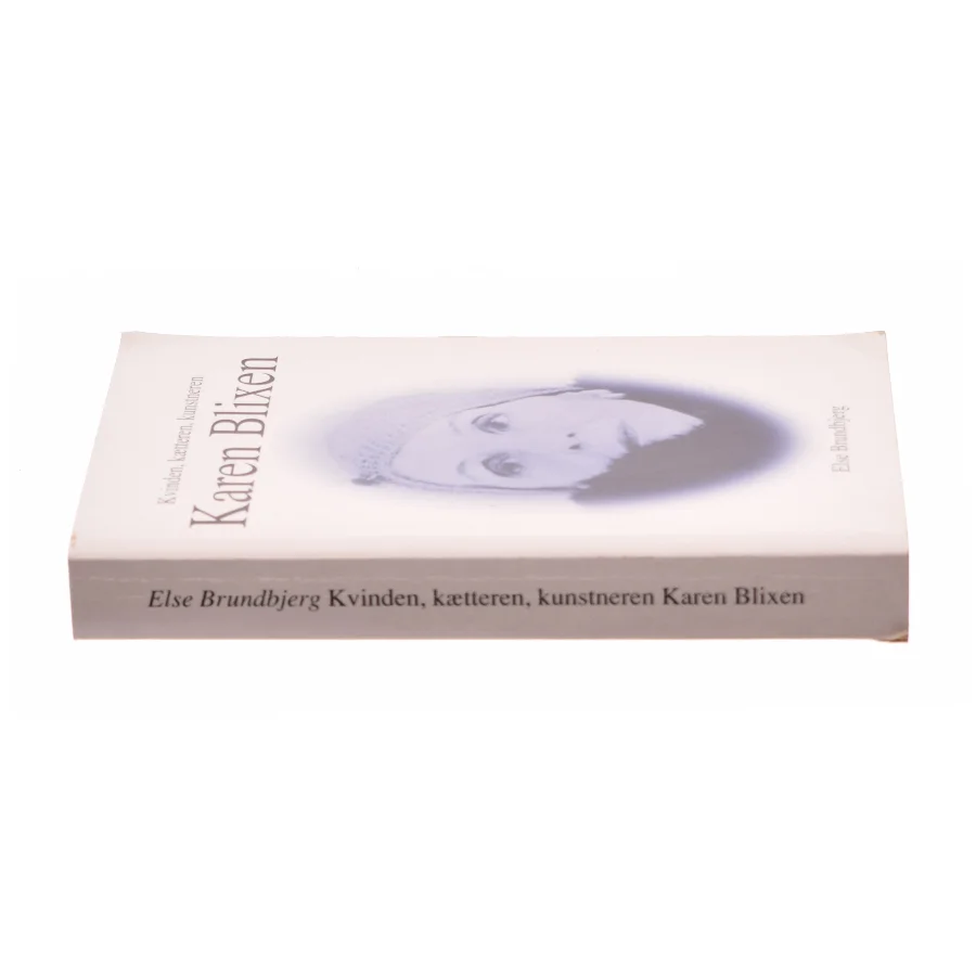 Kvinden, kætteren, kunstneren Karen Blixen af Else Brundbjerg (Bog)