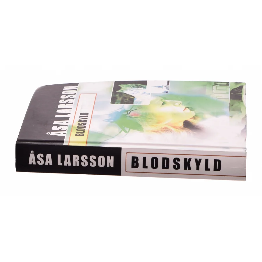 Blodskyld af Åsa Larsson  fra Bog