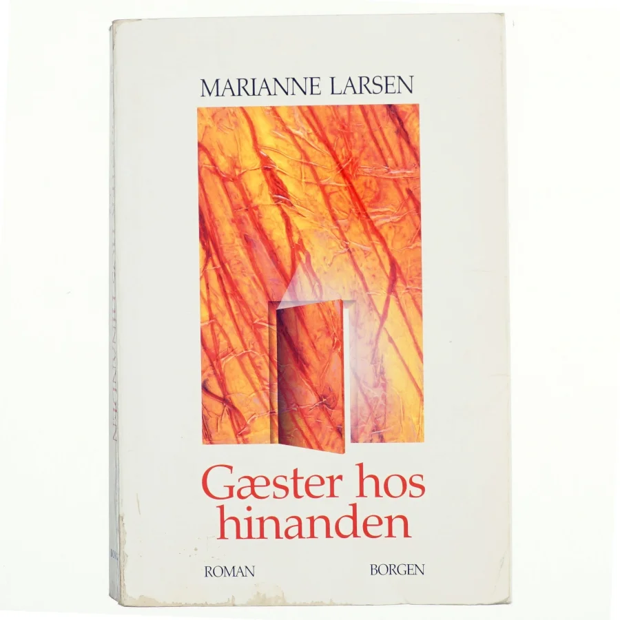 Gæster hos hinanden i 90'erne af Marianne Larsen (f. 1951) (Bog)