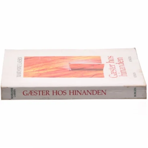 Gæster hos hinanden i 90'erne af Marianne Larsen (f. 1951) (Bog)