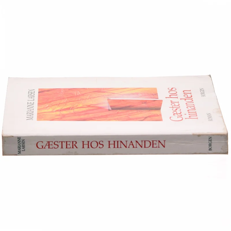 Gæster hos hinanden i 90'erne af Marianne Larsen (f. 1951) (Bog)