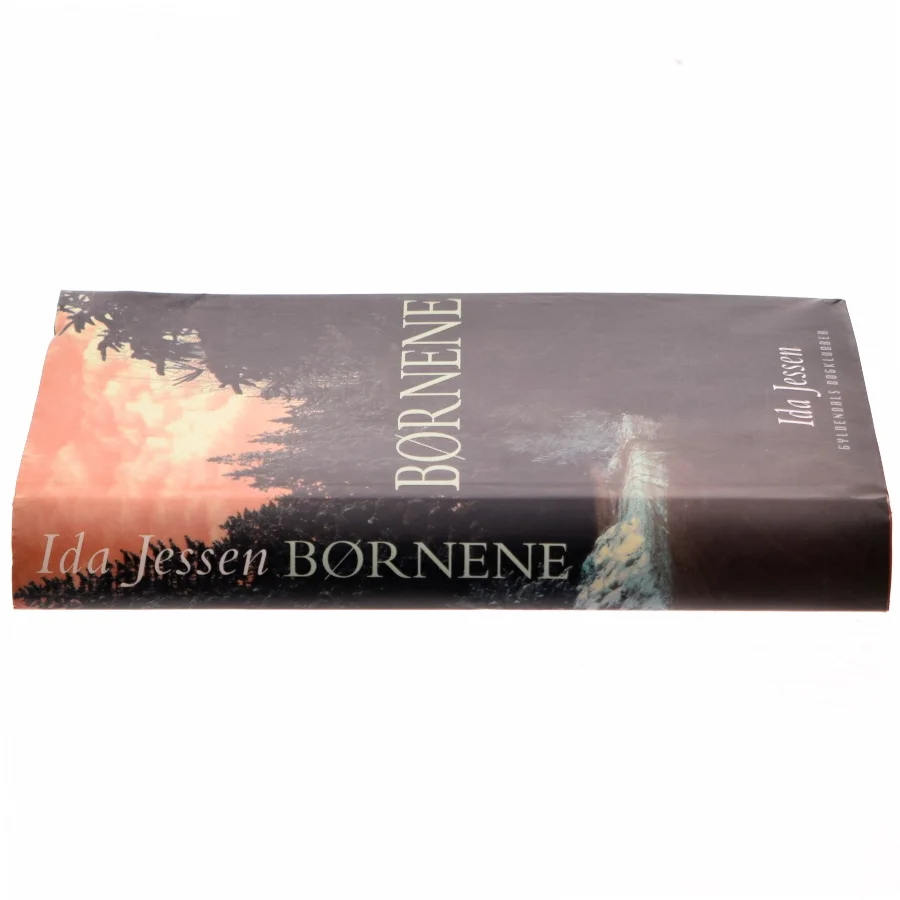 Børnene af Ida Jessen (Bog)