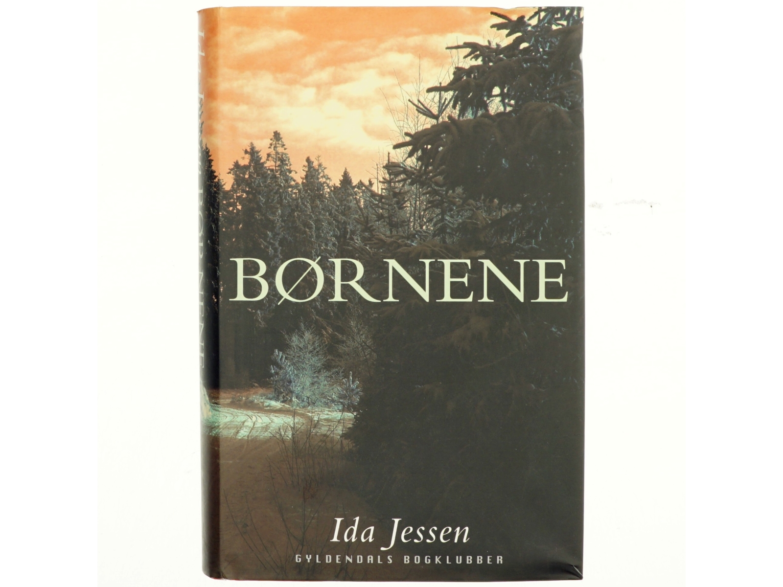 Børnene af Ida Jessen (Bog)