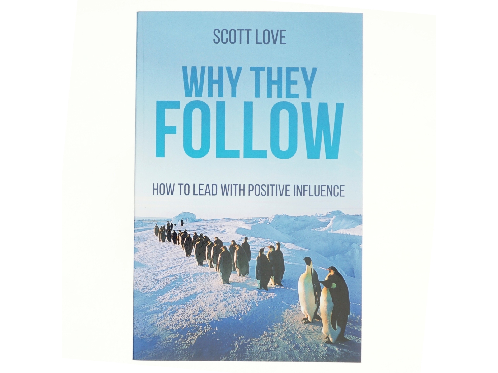 Why They Follow af Scott Love (Bog)