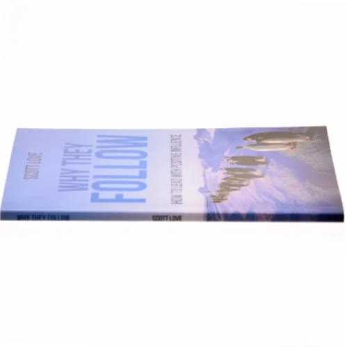 Why They Follow af Scott Love (Bog)