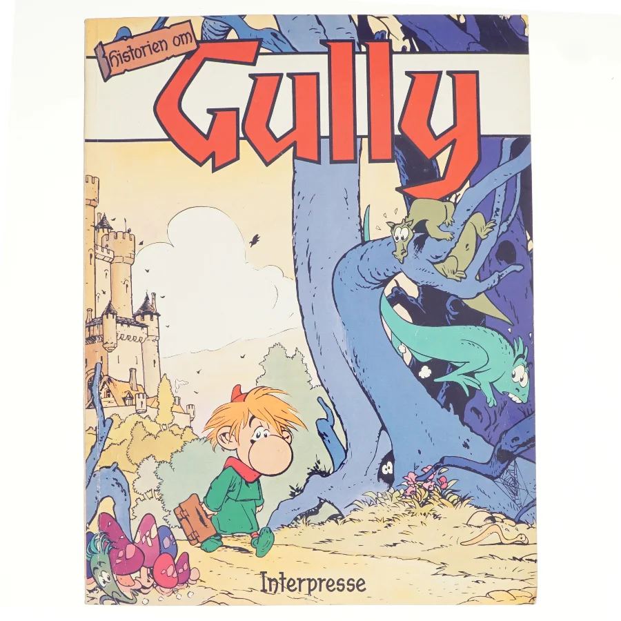 Gully