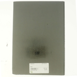 Camilla Läckberg, Stenhuggeren