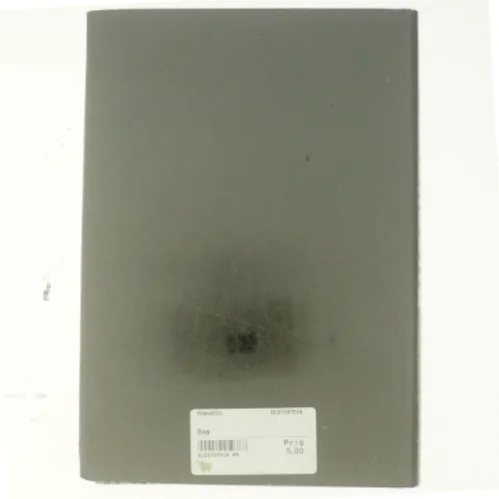 Camilla Läckberg, Stenhuggeren