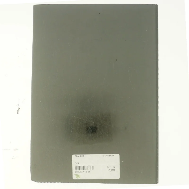 Camilla Läckberg, Stenhuggeren