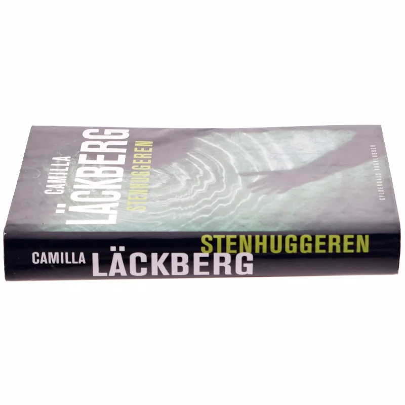 Camilla Läckberg, Stenhuggeren