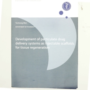 Development of particulate drug delivery