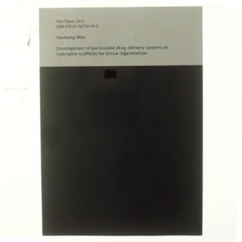 Development of particulate drug delivery