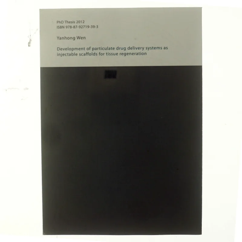 Development of particulate drug delivery