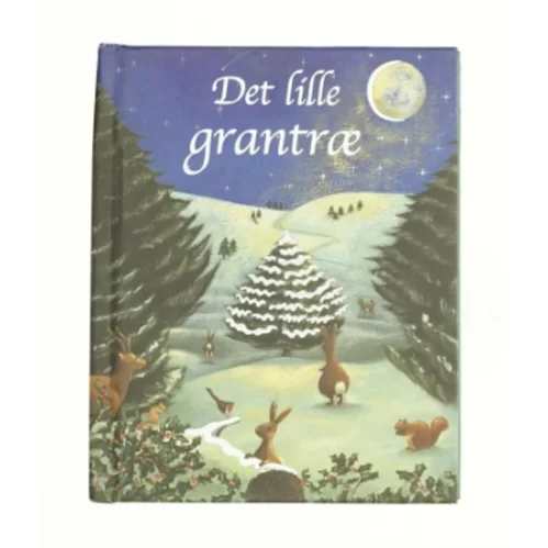 Arne Haugen Sørensen (Bog)