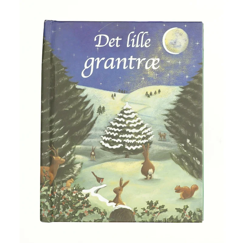 Arne Haugen Sørensen (Bog)