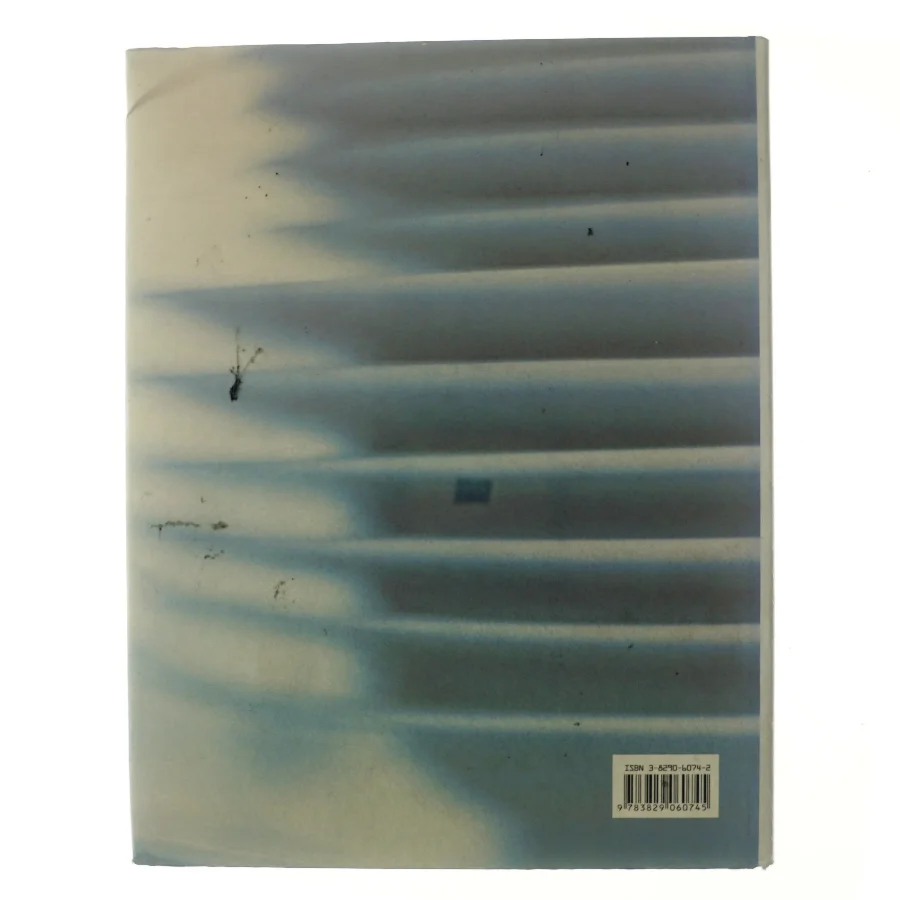 Gastronomi og gæster : fra picnic til festmiddag af Donna Hay (Bog)