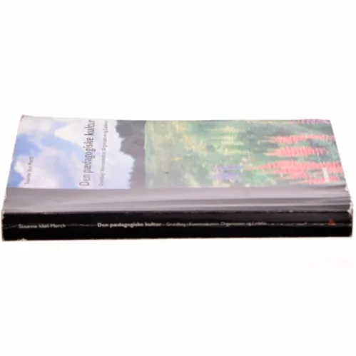 Den pædagogiske kultur : grundbog i kommunikation, organisation og ledelse af Susanne Idun Mørch (Bog)