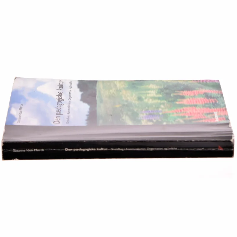 Den pædagogiske kultur : grundbog i kommunikation, organisation og ledelse af Susanne Idun Mørch (Bog)