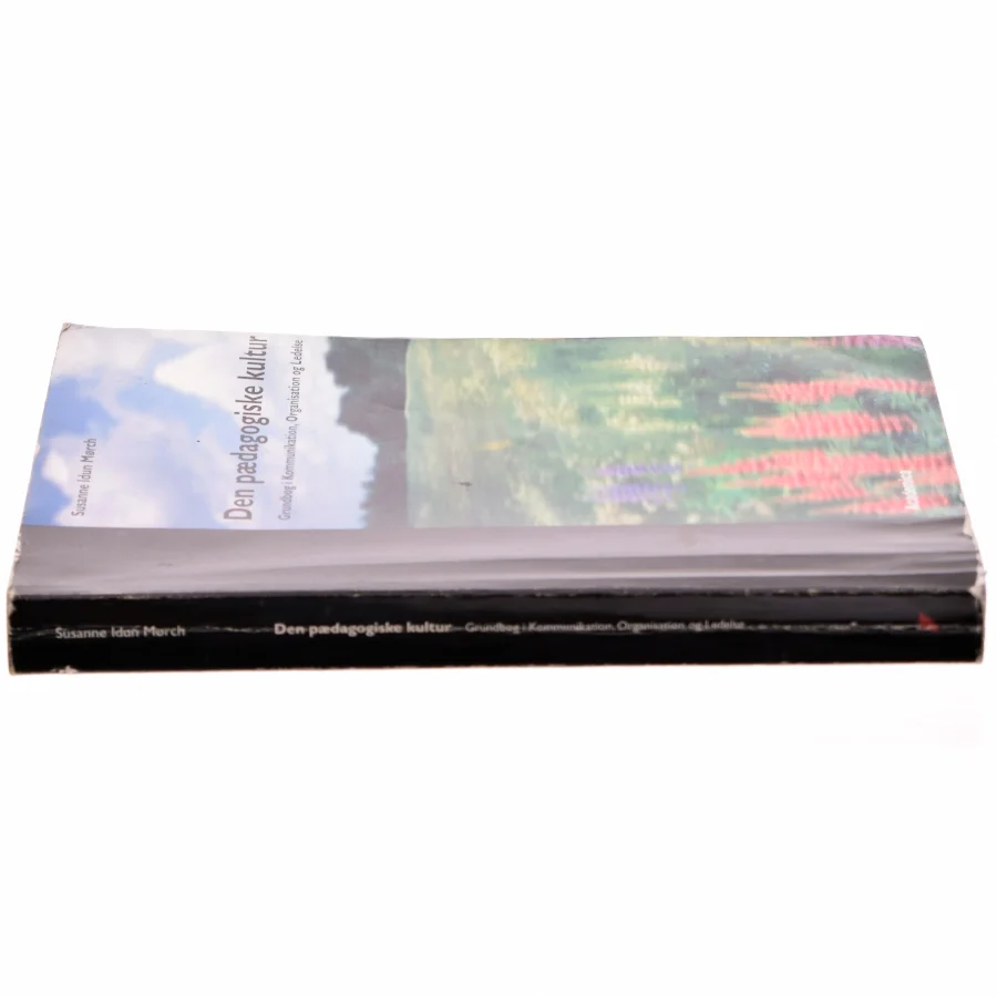 Den pædagogiske kultur : grundbog i kommunikation, organisation og ledelse af Susanne Idun Mørch (Bog)