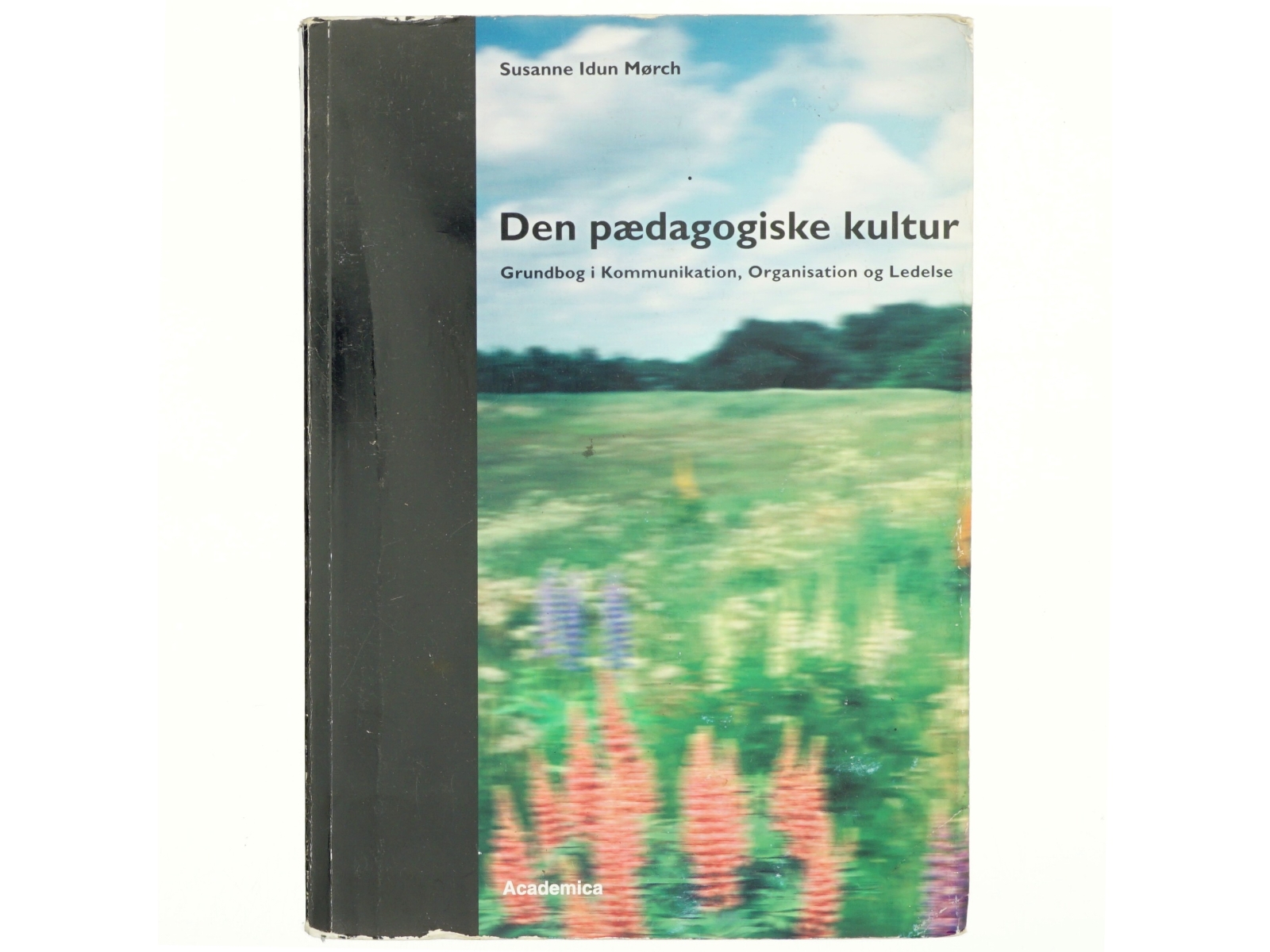 Den pædagogiske kultur : grundbog i kommunikation, organisation og ledelse af Susanne Idun Mørch (Bog)