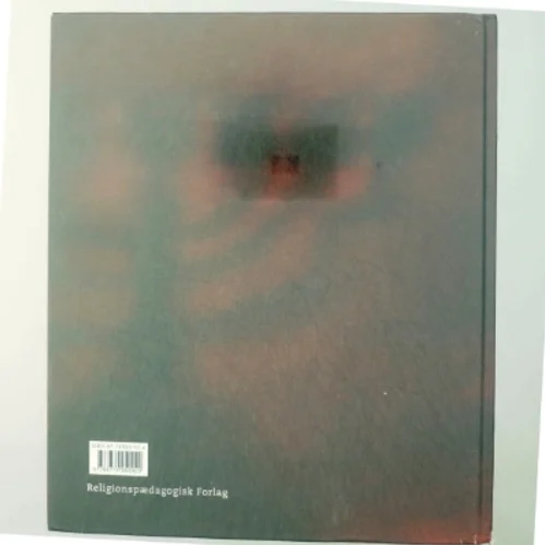 Skolebiblen af Bodil Busk Sørensen (Bog)