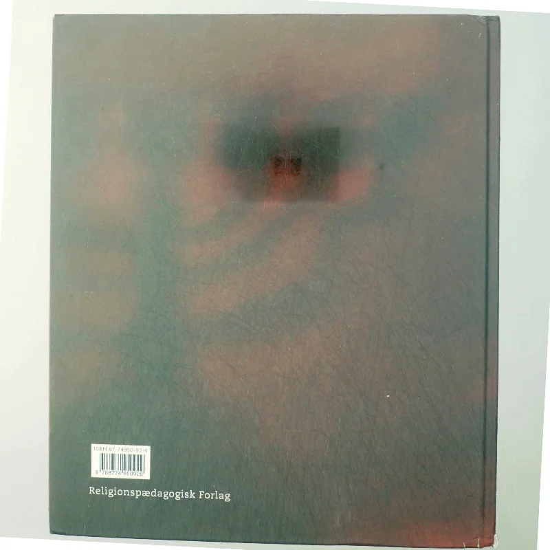 Skolebiblen af Bodil Busk Sørensen (Bog)