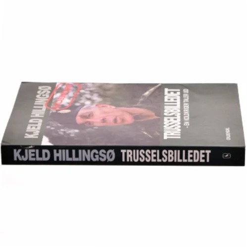 Trusselsbilledet (Bog) af Kjeld Hillingsø