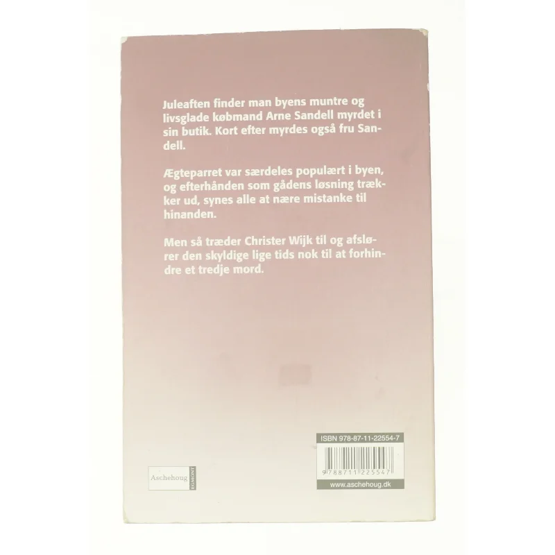 Mordet på landsbykirkegården af Maria Lang fra Bog