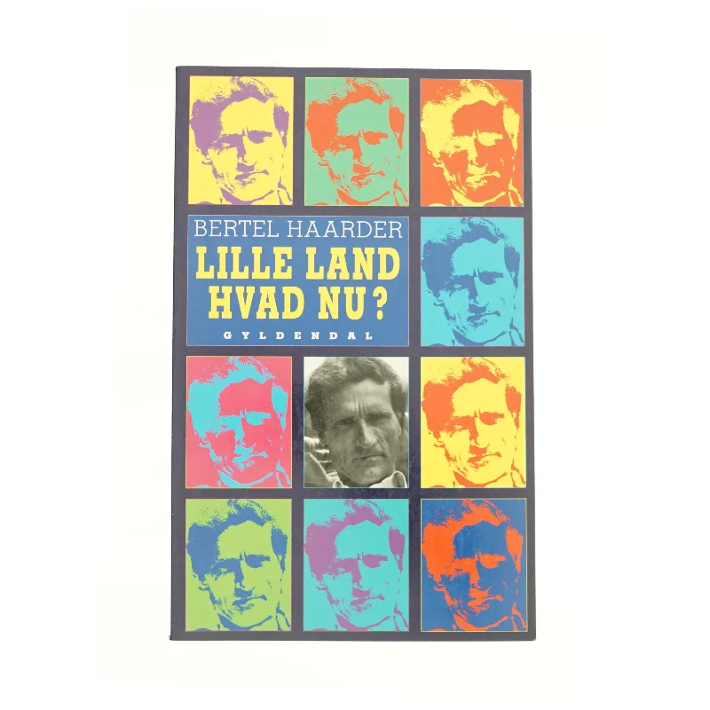 Lille land hvad nu? af Bertel Haarder fra Bog