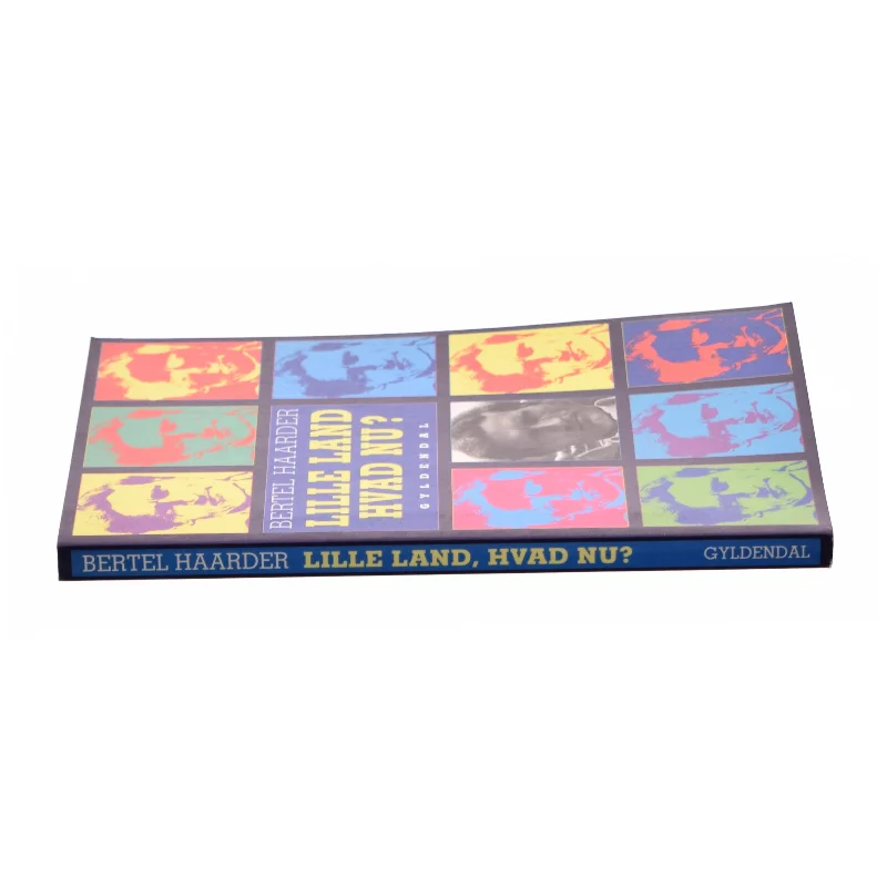 Lille land hvad nu? af Bertel Haarder fra Bog